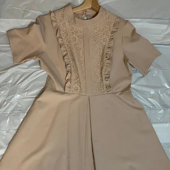 NWT ASOS Lace Panel Fit & Flare Dress Soft Taupe Beige/ Nude Beige Size US 12 - Picture 6 of 16